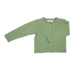 Pointelle Cardigan in Green