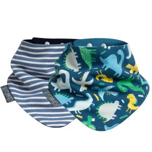 Cheeky Chompers Reversible Baby Bibs (2-Pack).
